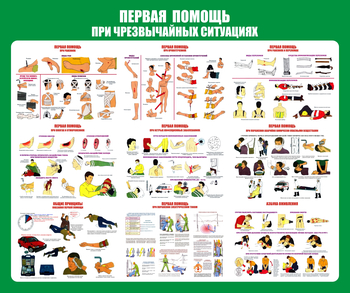 С20-1 Стенд Оказание первой помощи при ЧС (670х800 мм, пластик ПВХ 3 мм, Прямая печать на пластик) - Стенды - Стенды по первой медицинской помощи - . Магазин Znakstend.ru